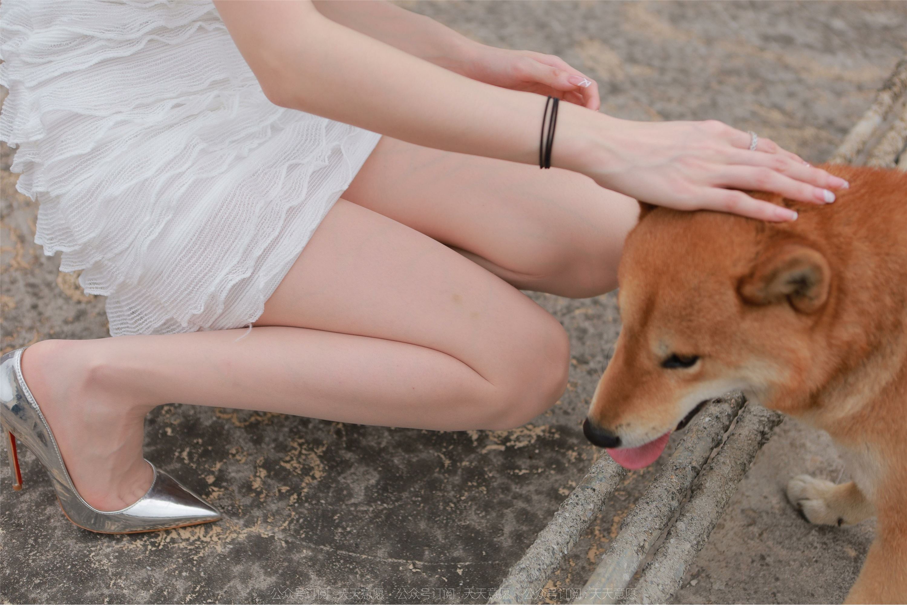 IESS异思趣向 2021.11.25 丝享家979：佳爷《12月女神佳爷-特辑》